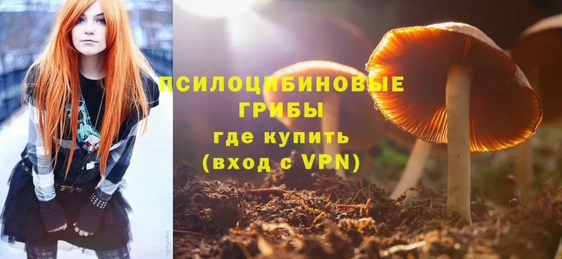 hydra ONION  купить наркотики сайты  Апшеронск  Псилоцибиновые грибы ЛСД 